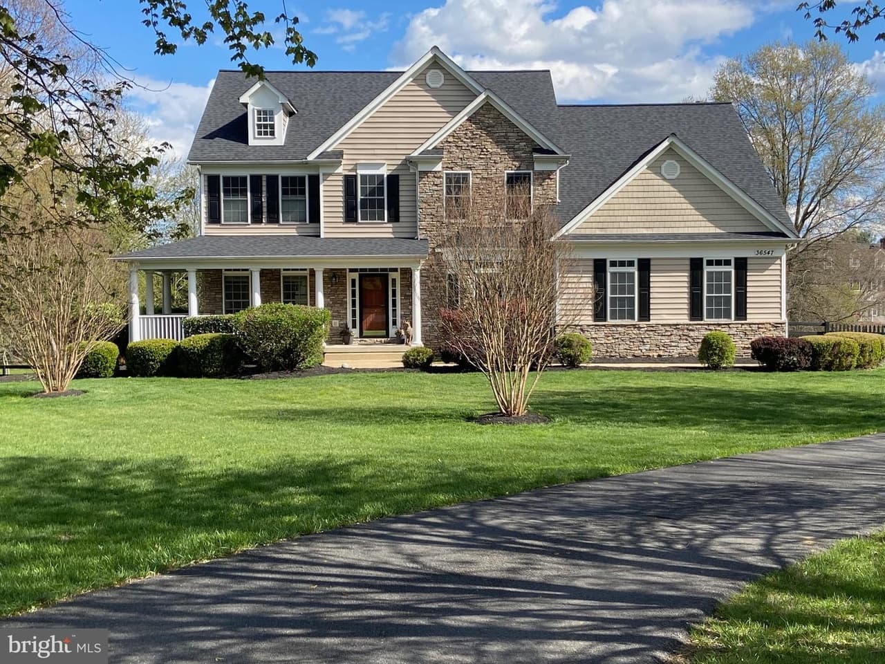 36547 Innisbrook - Photo 1