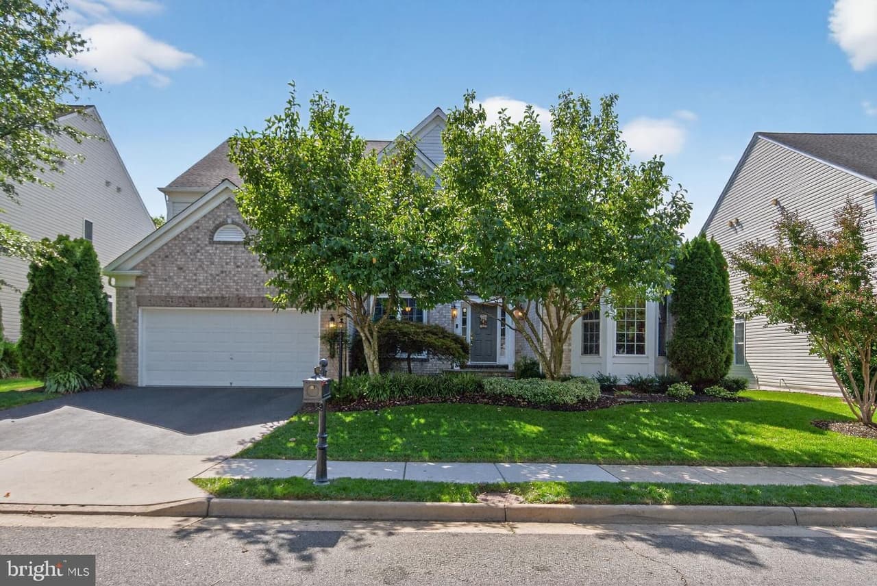 8157 American Holly - Photo 1