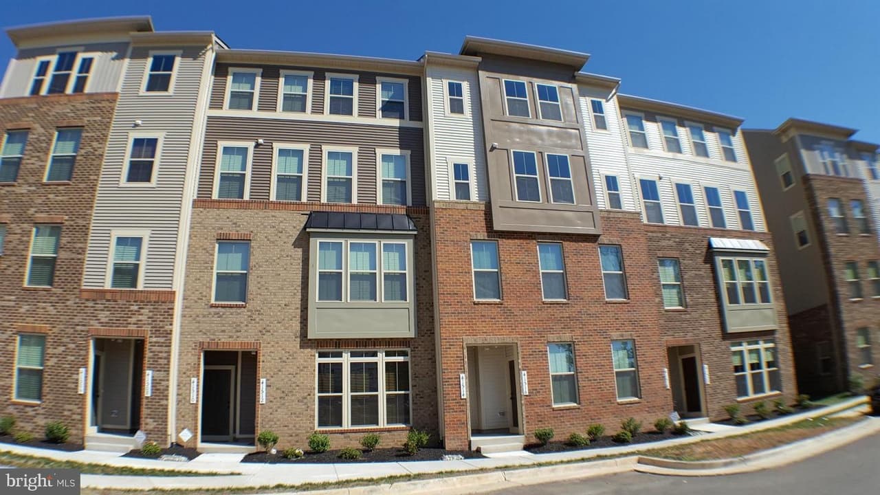 41510 Horse Chestnut - Photo 1