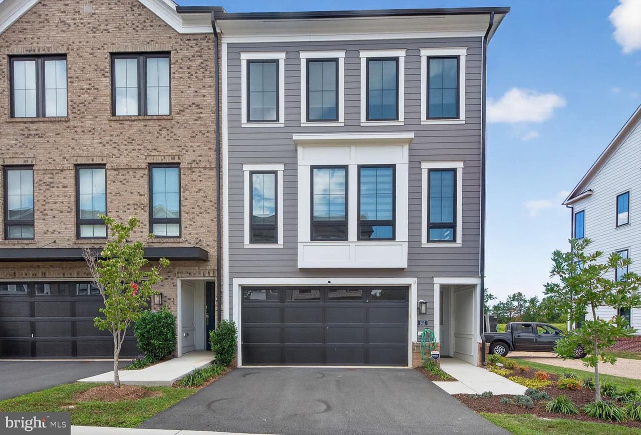 631 Angelfish - Photo 1