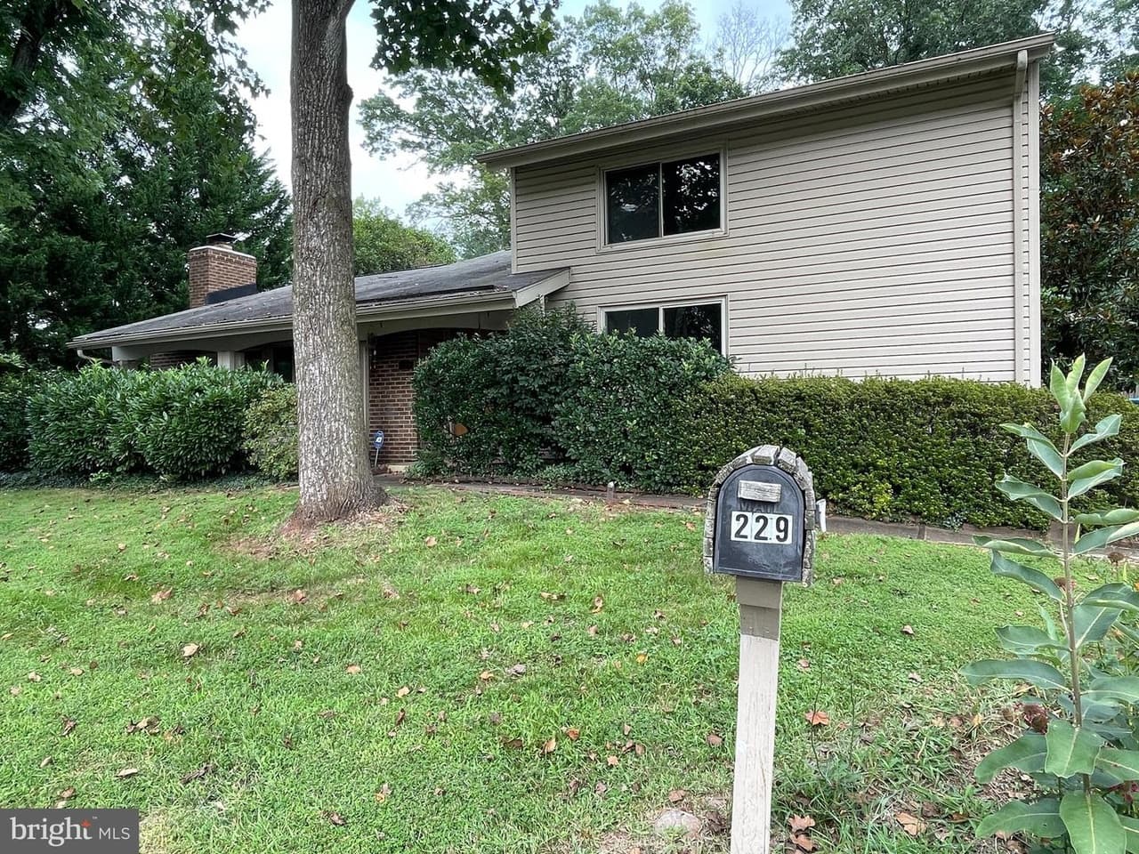 229 W Meadowland - Photo 1