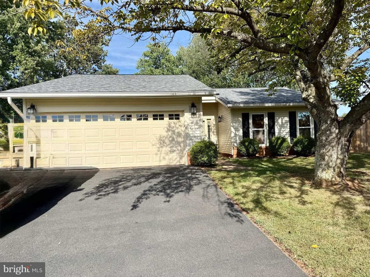 8945 Sweetbriar - Photo 1