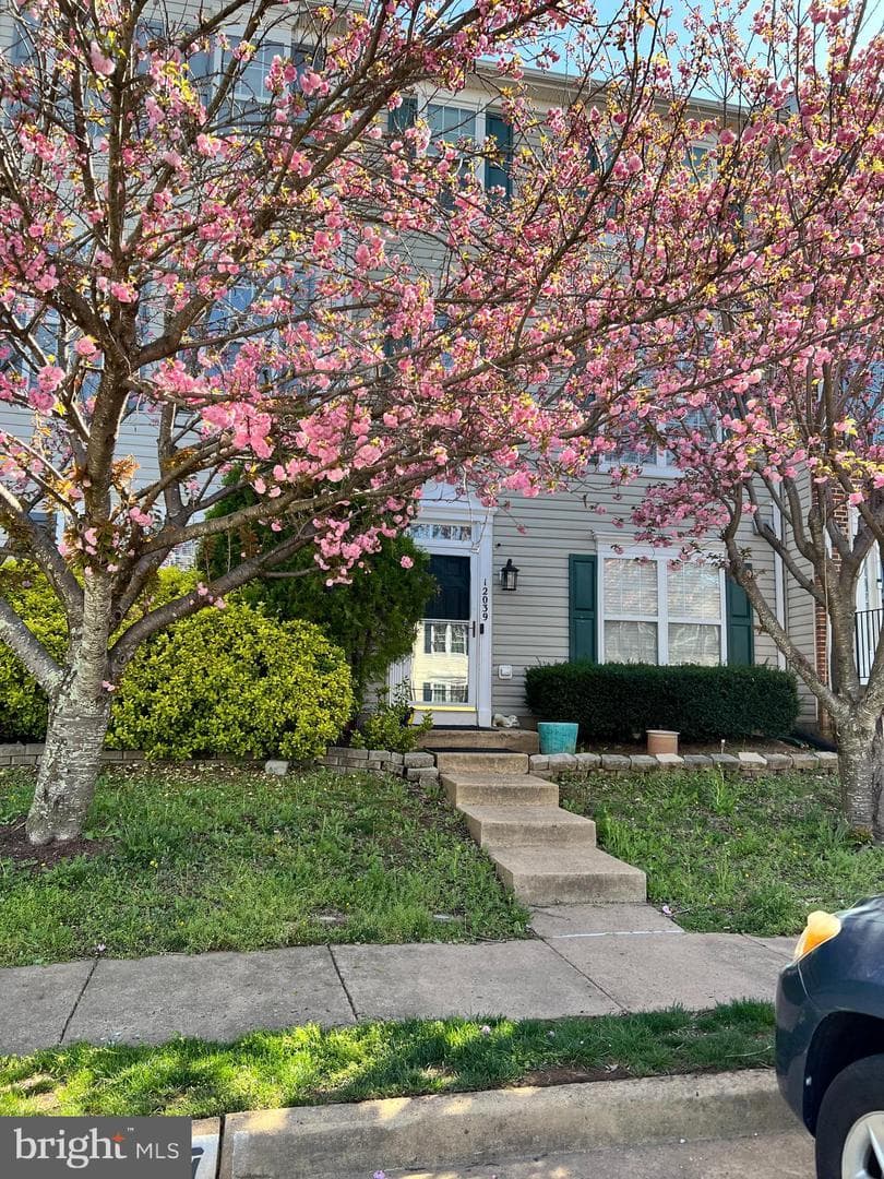 12039 Elliots Oak - Photo 1
