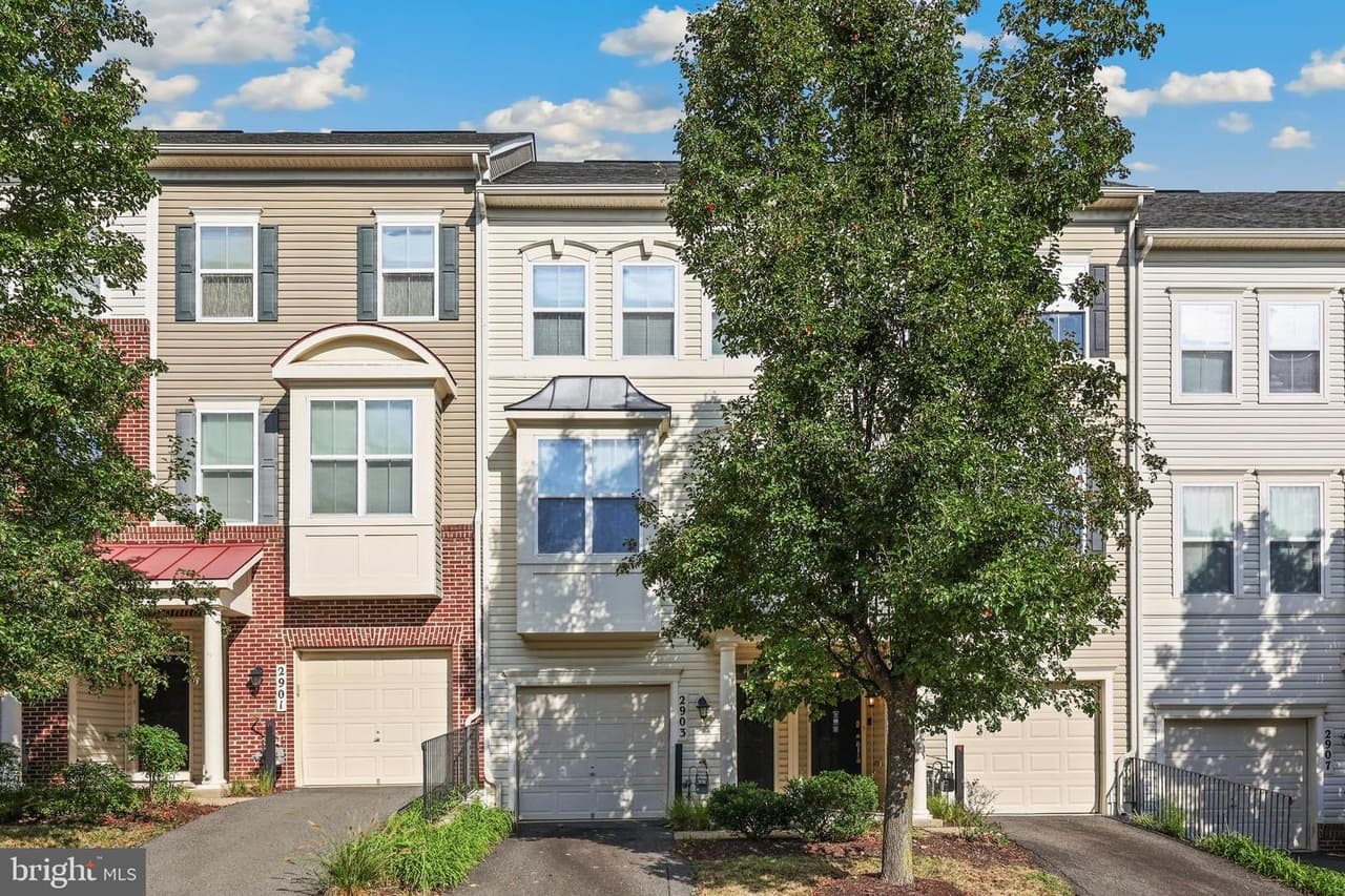 2903 Chinkapin Oak - Photo 1
