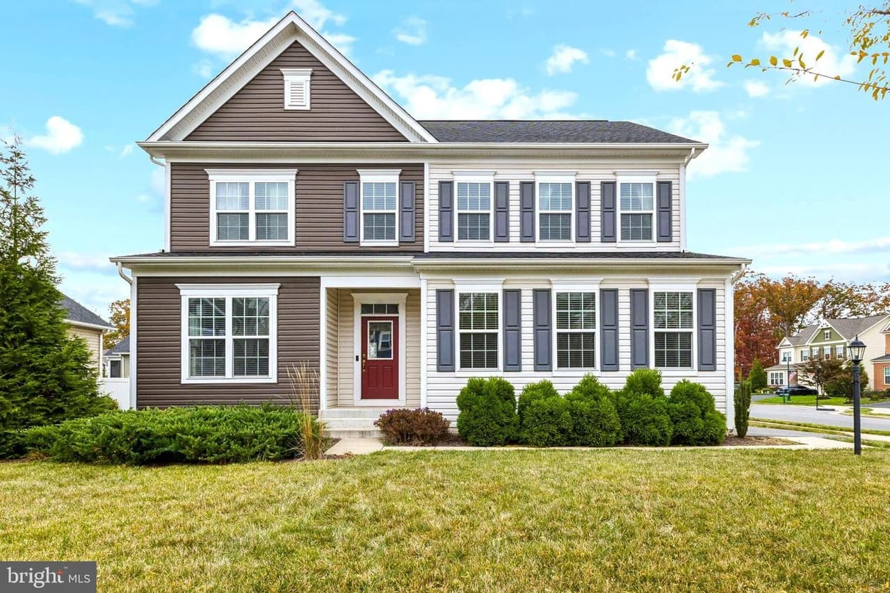 10428 Golden Aster - Photo 1