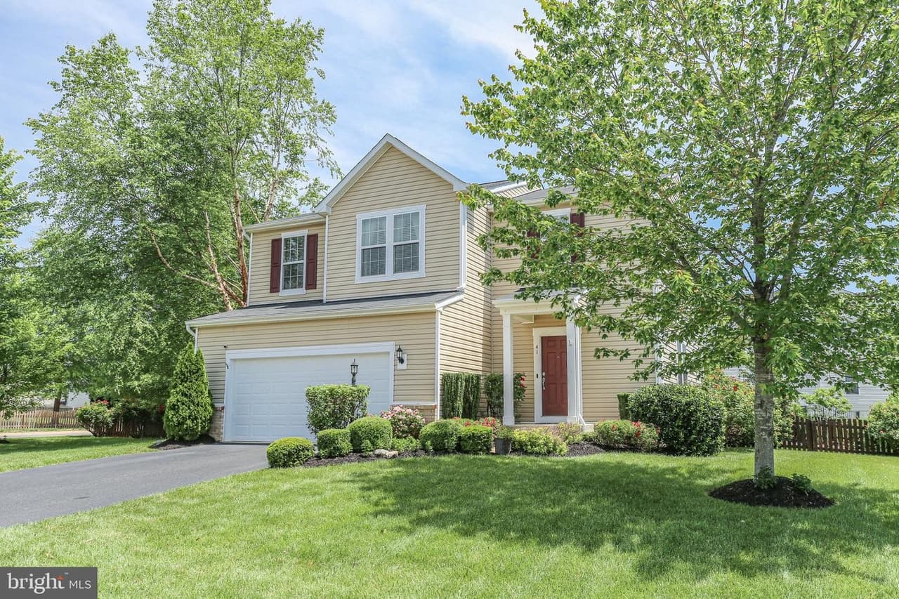 41 Ivy Spring - Photo 1