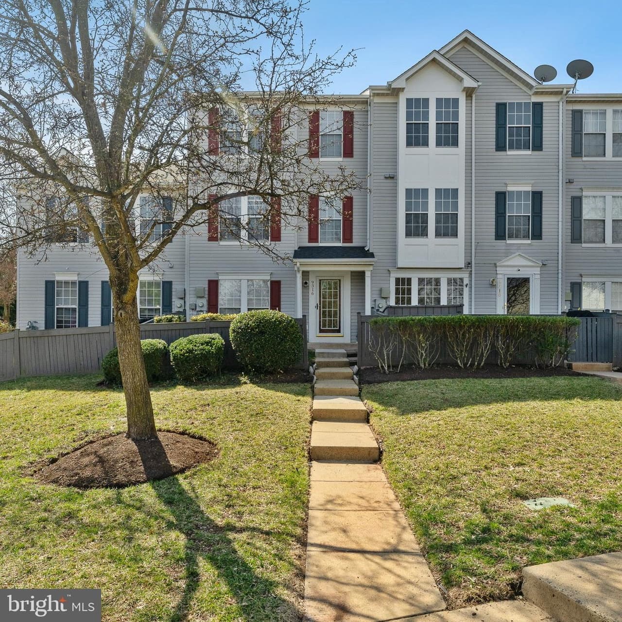 9316 Fringe Tree - Photo 1