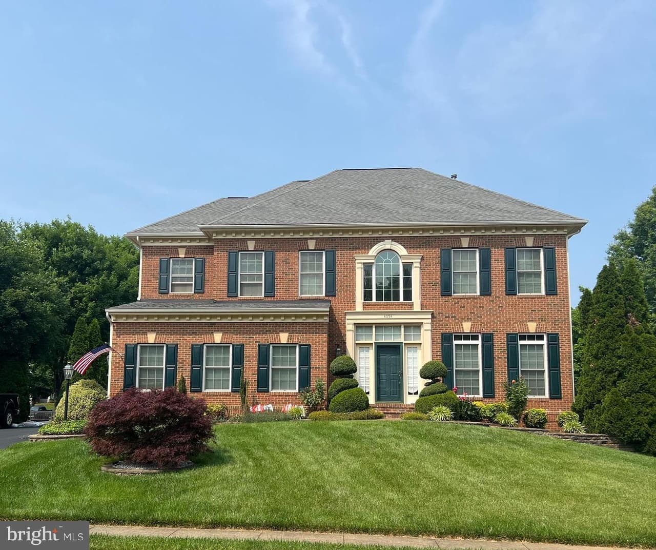 4054 Sapling - Photo 1