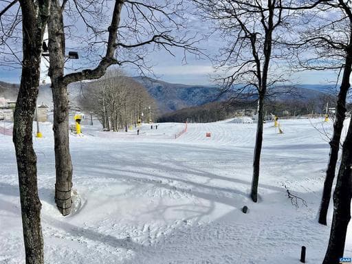 255 TIMBERS CONDOS,WINTERGREEN RESORT,VA,22967,NELSON - Photo 1
