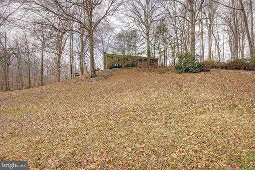 11130 DUMBARTON DRIVE - Photo 1
