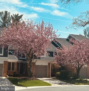 23 RAISIN TREE CIRCLE
