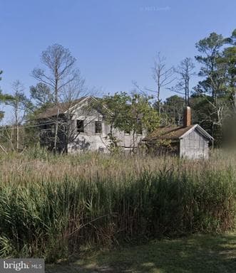 3033 WILLIAM MADDOX ROAD - Photo 1