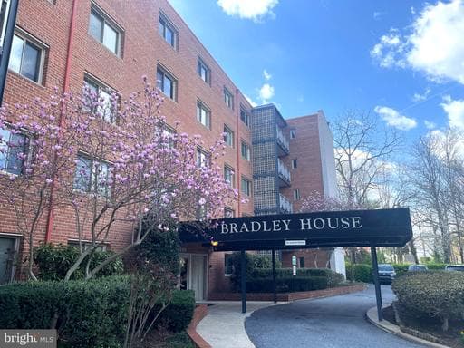 4800 CHEVY CHASE DRIVE 508 - Photo 1
