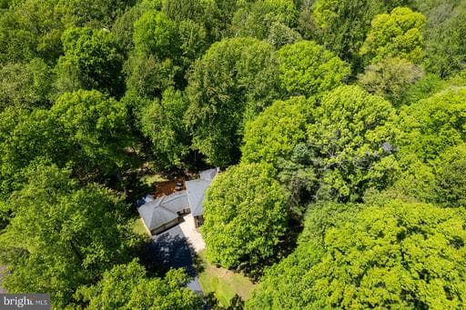 11732 STUART MILL ROAD - Photo 1