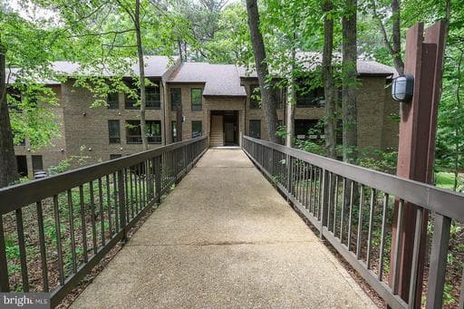 23313 SUGAR MAPLE COURT 2C - Photo 1