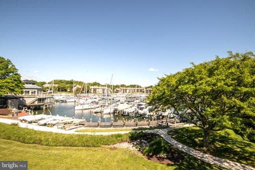 2118 CHESAPEAKE HARBOUR DRIVE 202 - Photo 1