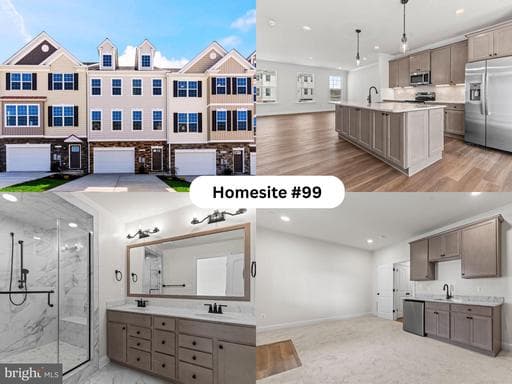 Lot 99 - 23725 DRAGONFLY LANE - Photo 1