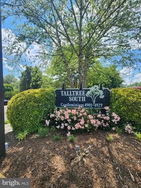 4903 AMERICANA DRIVE T7