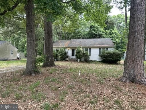 30464 Cannon DR SALISBURY MD 21804 - Photo 1