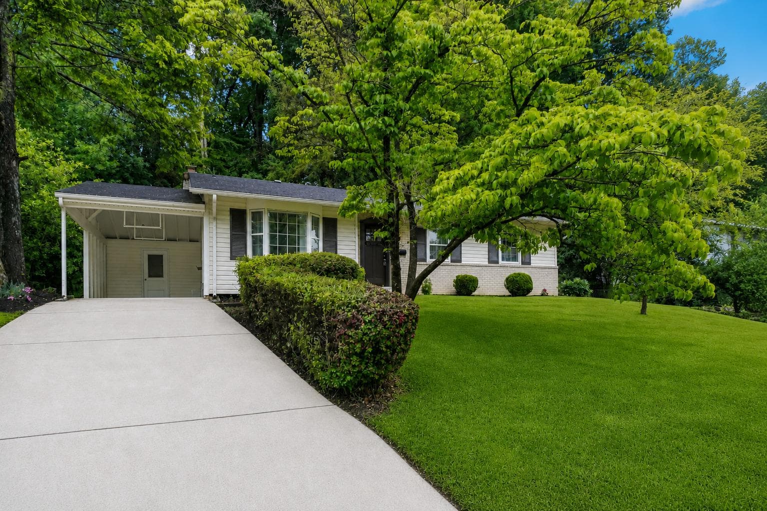 14419 Bauer Dr, Rockville, MD 20853-2348, United States - Photo 1