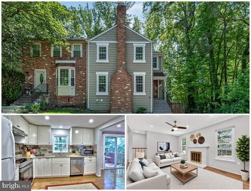 10041 CHESTNUT WOOD LANE - Photo 1