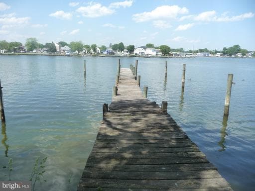8618 SANDY PLAINS ROAD - Photo 1