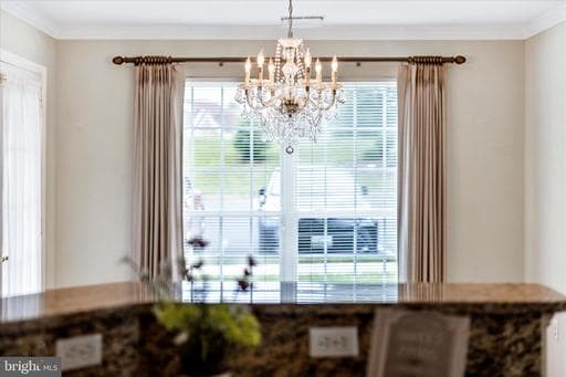 2505 SHELLEY CIRCLE 1A - Photo 1