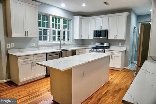 43759 MINK MEADOWS STREET - Photo 1