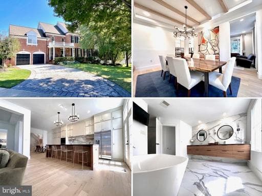 18441 Lanier Island Sq, Leesburg, VA 20176-3938, United States