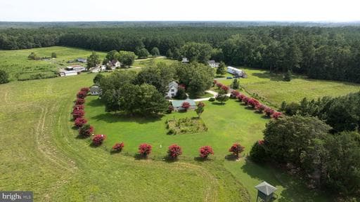 25367 MESSONGO ROAD - Photo 1