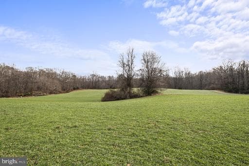 7389 LEEDS MANOR ROAD - Photo 1