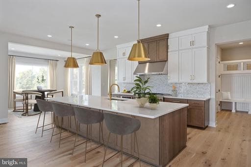 41545 BLARNEY STONE PLACE - Photo 1