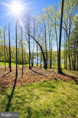 26700 DANIELS POINT DRIVE - Photo 1