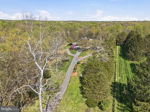 13505 DEAKINS LANE - Photo 1