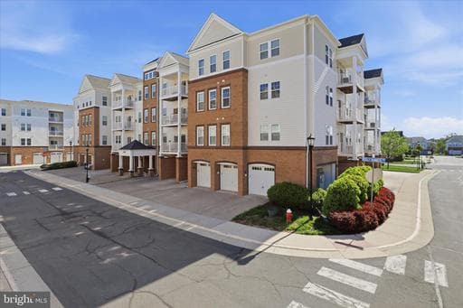 24636 WOOLLY MAMMOTH TERRACE 202