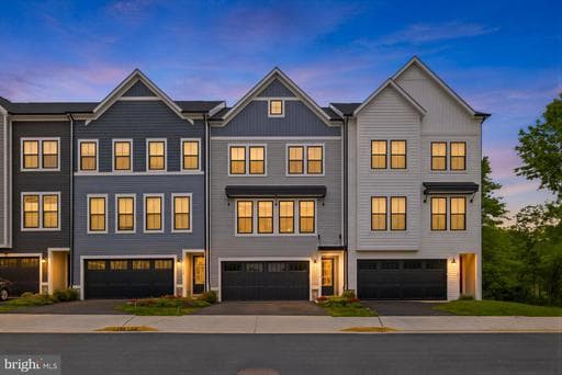 42182 BERRIER FARMS TERRACE - Photo 1
