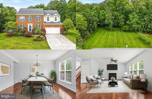 25825 SPRING FARM CIRCLE - Photo 1