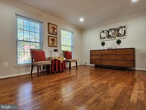 13908 BERGENFIELD - Photo 1