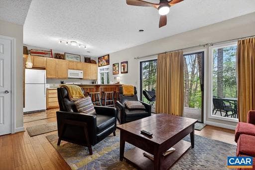 410 THREE RIDGES CONDOS,WINTERGREEN RESORT,VA,22967,NELSON - Photo 1