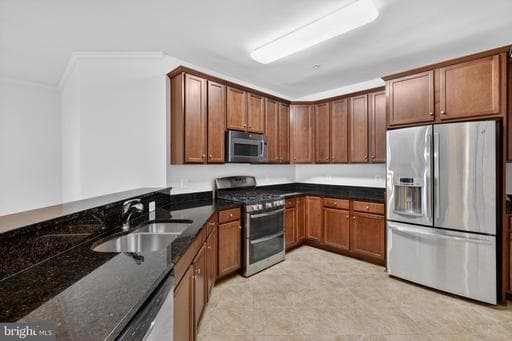 24636 WOOLLY MAMMOTH TERRACE 207