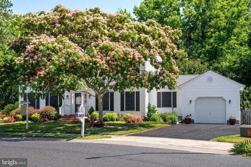 29841 STANDISH STREET - Photo 1