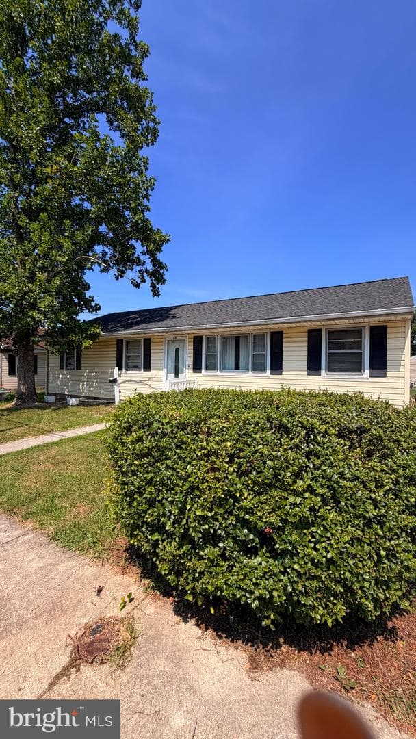 711 Rigby AVE CAMBRIDGE MD 21613